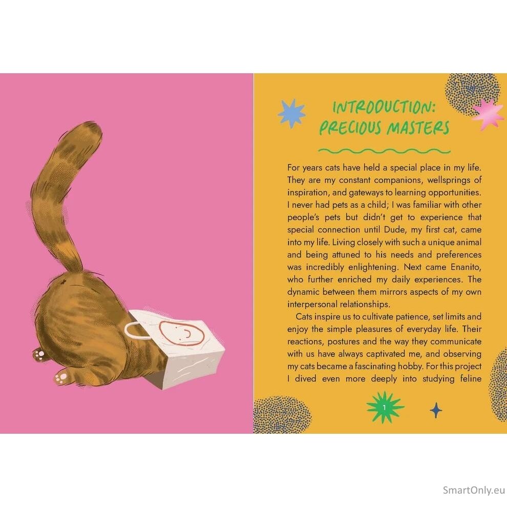 Cat Wisdom Oracle kortos Rockpool Publishing 3