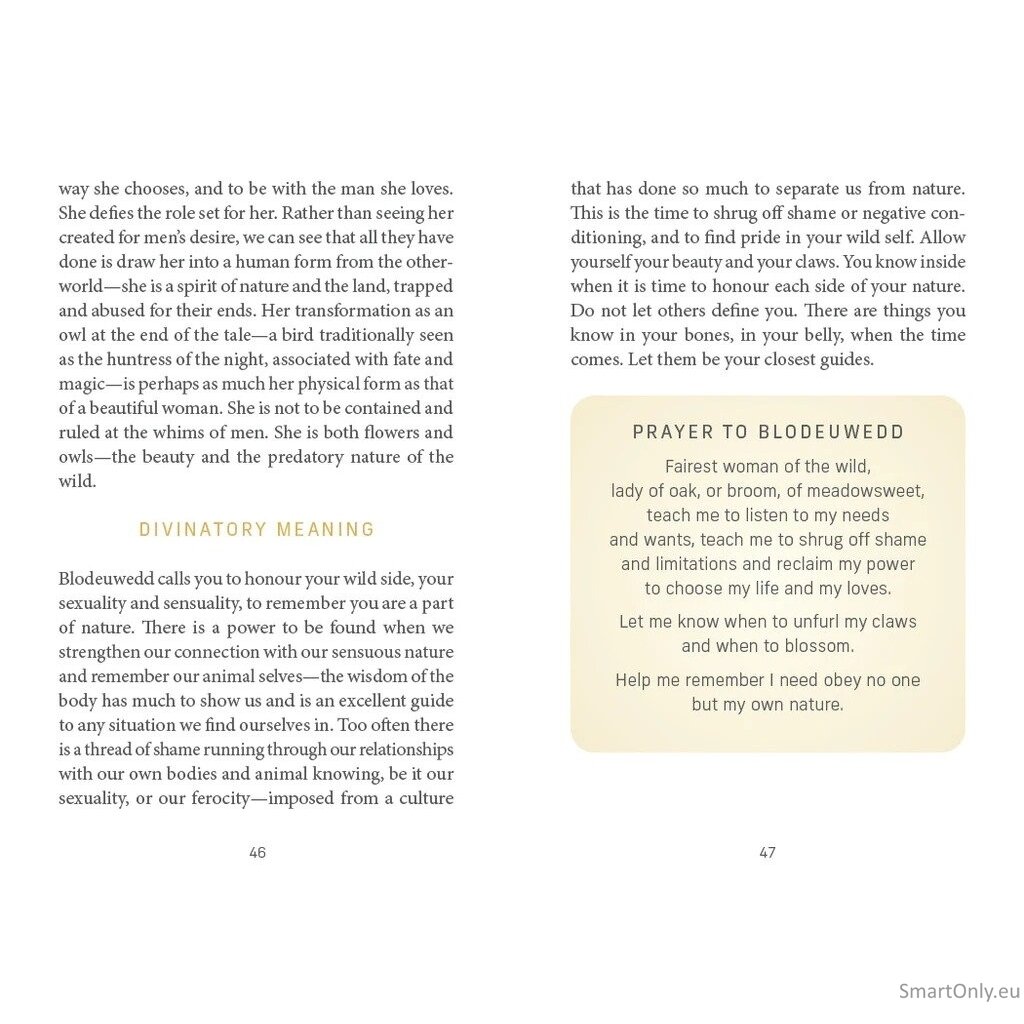 Celtic Goddesses, Witches and Queens Oracle kortos Schiffer Publishing 13 Celtic Goddesses, Witches and Queens Oracle kortos Schiffer Publishing 13
