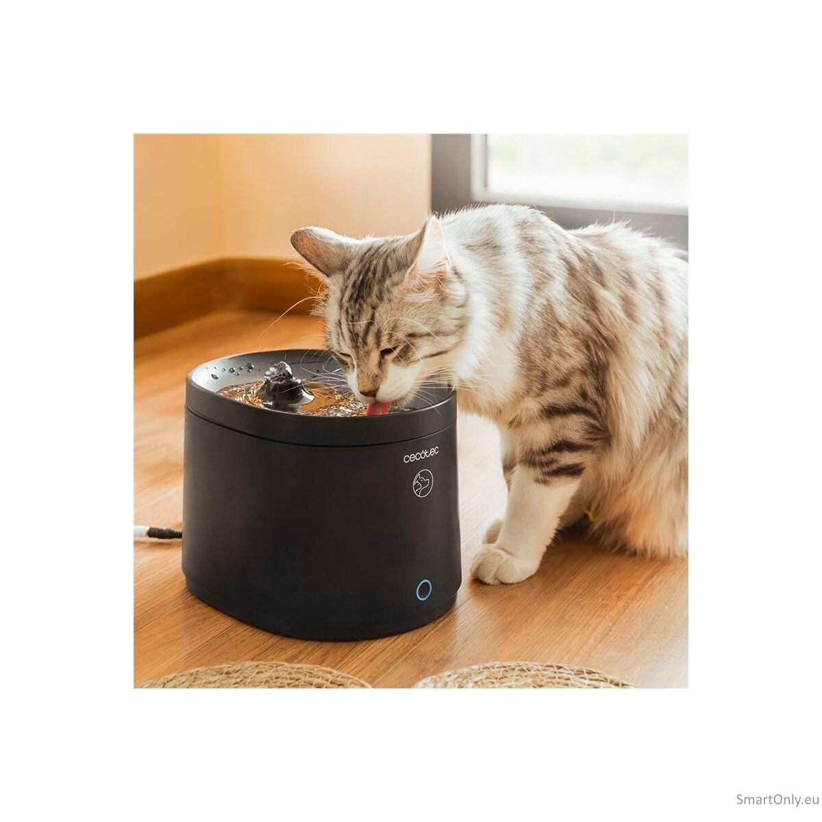 Cecotec Smart Pet Fountain | Pumba 2500 Refresh | Capacity 2.5 L | Black 16 Cecotec Smart Pet Fountain | Pumba 2500 Refresh | Capacity 2.5 L | Black 16