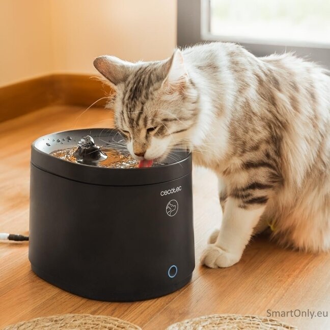 Cecotec Smart Pet Fountain | Pumba 2500 Refresh | Capacity 2.5 L | Black 2