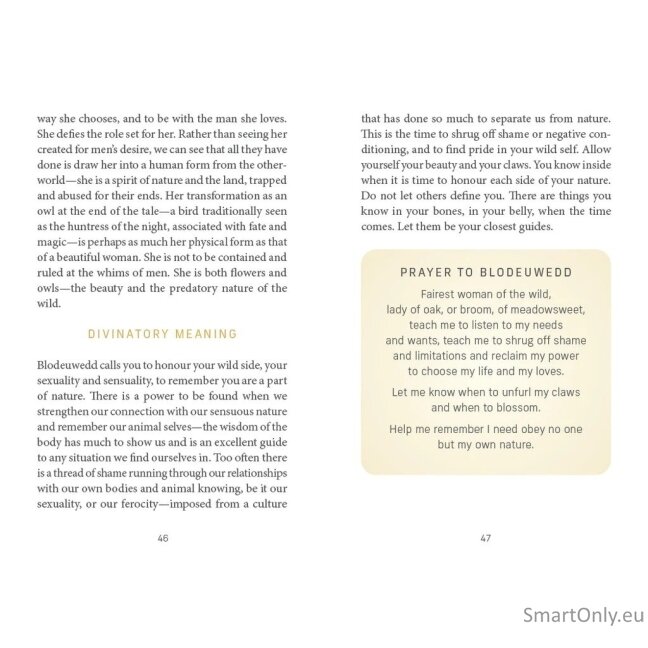 Celtic Goddesses, Witches and Queens Oracle kortos Schiffer Publishing 13 Celtic Goddesses, Witches and Queens Oracle kortos Schiffer Publishing 13