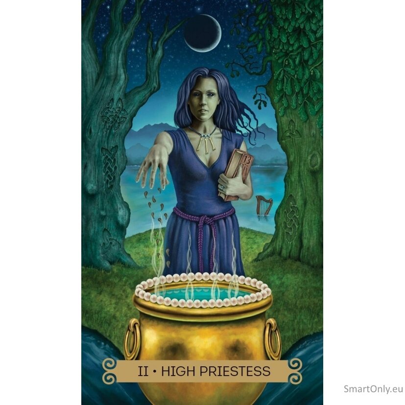 Celtic Tarot kortos Llewellyn 5 Celtic Tarot kortos Llewellyn 5