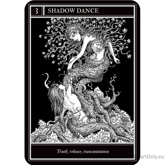 Coven Oracle kortos Rockpool Publishing 1