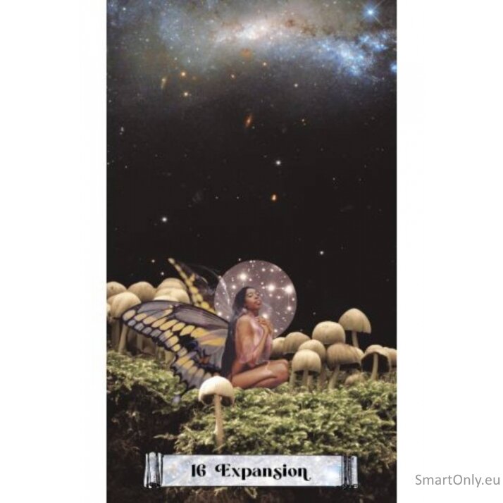 Cosmic Crossroads Oracle kortos Hay House 2