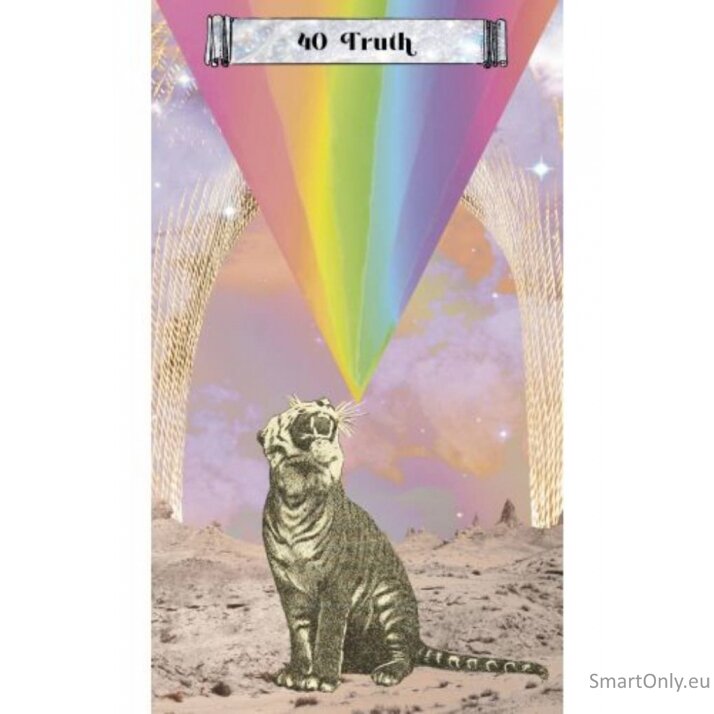 Cosmic Crossroads Oracle kortos Hay House 4