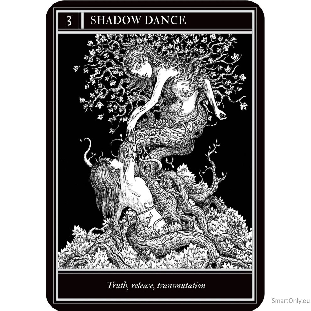 Coven Oracle kortos Rockpool Publishing 1