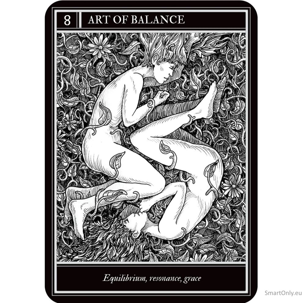 Coven Oracle kortos Rockpool Publishing 3 Coven Oracle kortos Rockpool Publishing 3