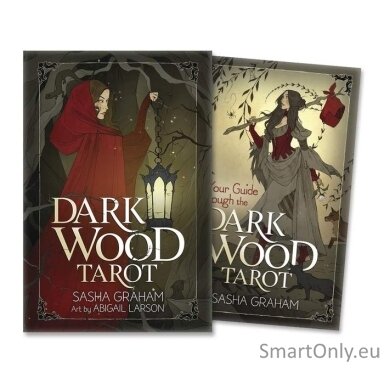 dark-wood-tarot-kortos-llewellyn-1