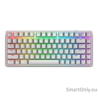 Dell 545-BBFR Alienware Pro Gaming Keyboard Wireless US Alienware Linear Mechanical Lunar Light Bluetooth Dell 545-BBFR Alienware Pro Gaming Keyboard Wireless US Alienware Linear Mechanical Lunar Light Bluetooth