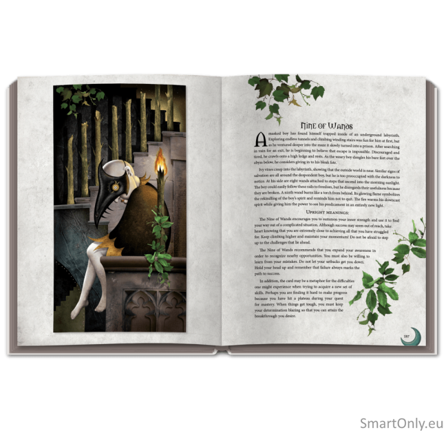 Deviant Moon Tarot Knyga US Games Systems 2 Deviant Moon Tarot Knyga US Games Systems 2