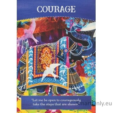 Divine Abundance Oracle kortos Hay House