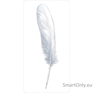Divine Feather Oracle kortos US Games Systems