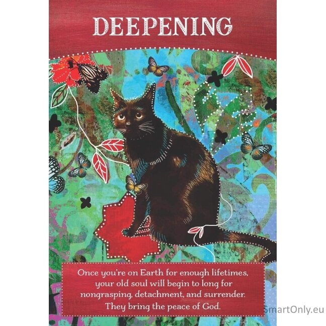 Divine Abundance Oracle kortos Hay House 3 Divine Abundance Oracle kortos Hay House 3