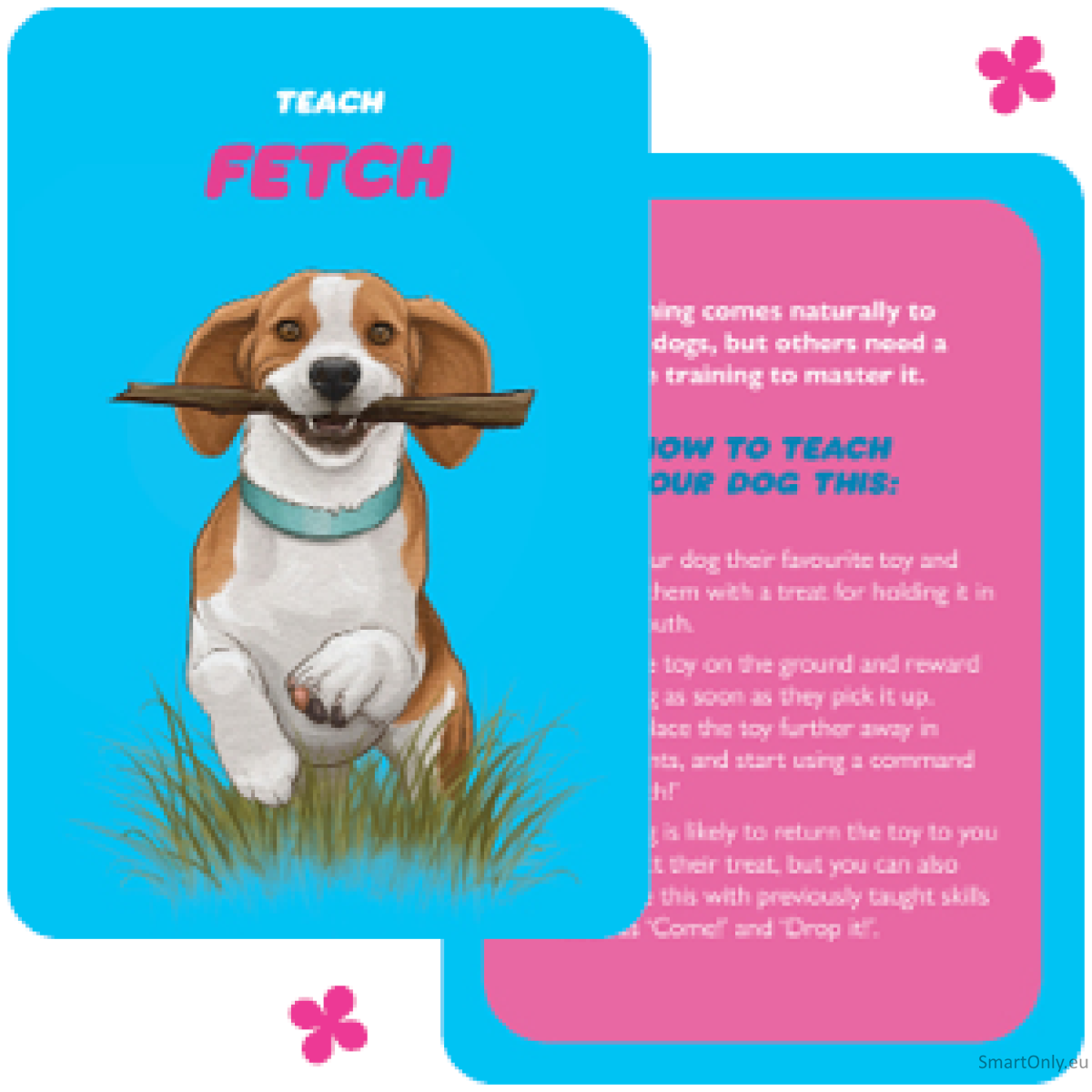 Dog Speak kortos Rockpool Publishing 3 Dog Speak kortos Rockpool Publishing 3