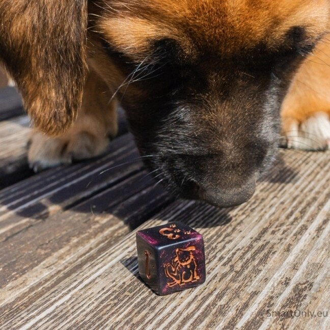 DOGS Dice Set: Luna kauliukų rinkinys 5 DOGS Dice Set: Luna kauliukų rinkinys 5
