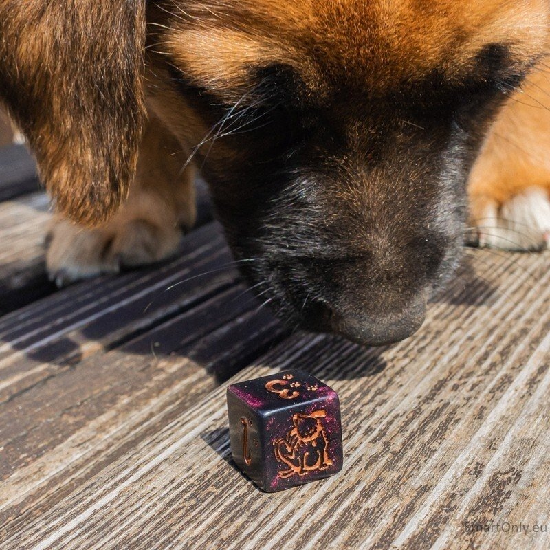DOGS Dice Set: Luna kauliukų rinkinys 5 DOGS Dice Set: Luna kauliukų rinkinys 5