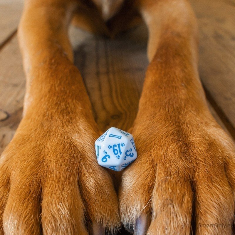 DOGS Dice Set: Max kauliukų rinkinys 2 DOGS Dice Set: Max kauliukų rinkinys 2