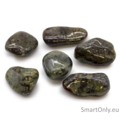 drakono-akmuo-6-vnt-l-dydzio-ancient-wisdom