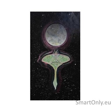Dream Wisdom Oracle kortos Destiny Books