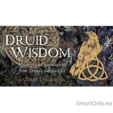 druid-wisdom-inspiration-kortos-rockpool-1