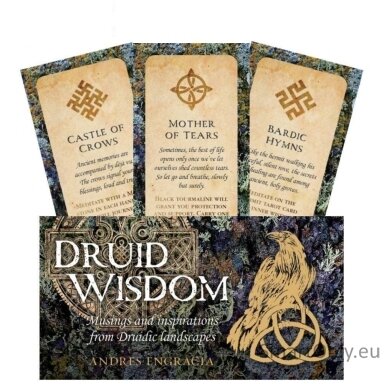 druid-wisdom-inspiration-kortos-rockpool