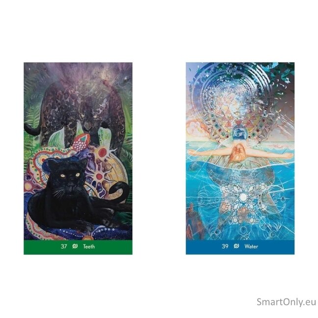 Dream Wisdom Oracle kortos Destiny Books 3 Dream Wisdom Oracle kortos Destiny Books 3