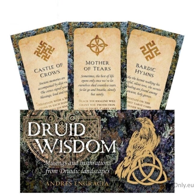 Druid Wisdom Inspiration kortos Rockpool Druid Wisdom Inspiration kortos Rockpool