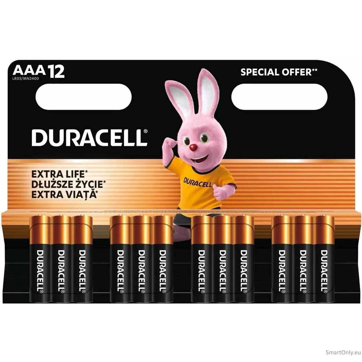 Duracell Basic AAA LR03 1.5V šarminės baterijos 12 vnt. 1