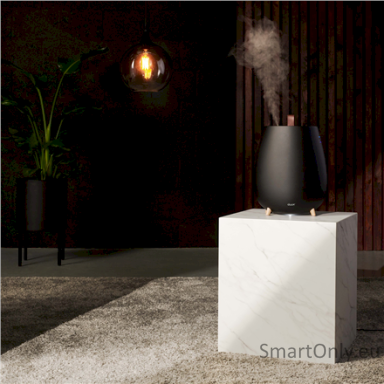 Duux Humidifier Gen2 Tag Ultrasonic, 12 W, Water tank capacity 2.5 L, Suitable for rooms up to 30 m², Ultrasonic, Humidification capacity 250 ml/hr, Black Duux Humidifier Gen2 Tag Ultrasonic, 12 W, Water tank capacity 2.5 L, Suitable for rooms up to 30 m², Ultrasonic, Humidification capacity 250 ml/hr, Black