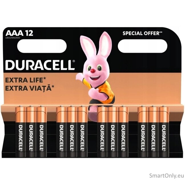 Duracell Basic AAA LR03 1.5V šarminės baterijos 12 vnt. Duracell Basic AAA LR03 1.5V šarminės baterijos 12 vnt.