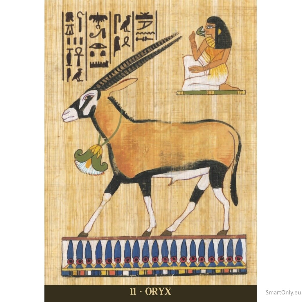 Egyptian Sacred Animals Oracle kortos Lo Scarabeo 3 Egyptian Sacred Animals Oracle kortos Lo Scarabeo 3