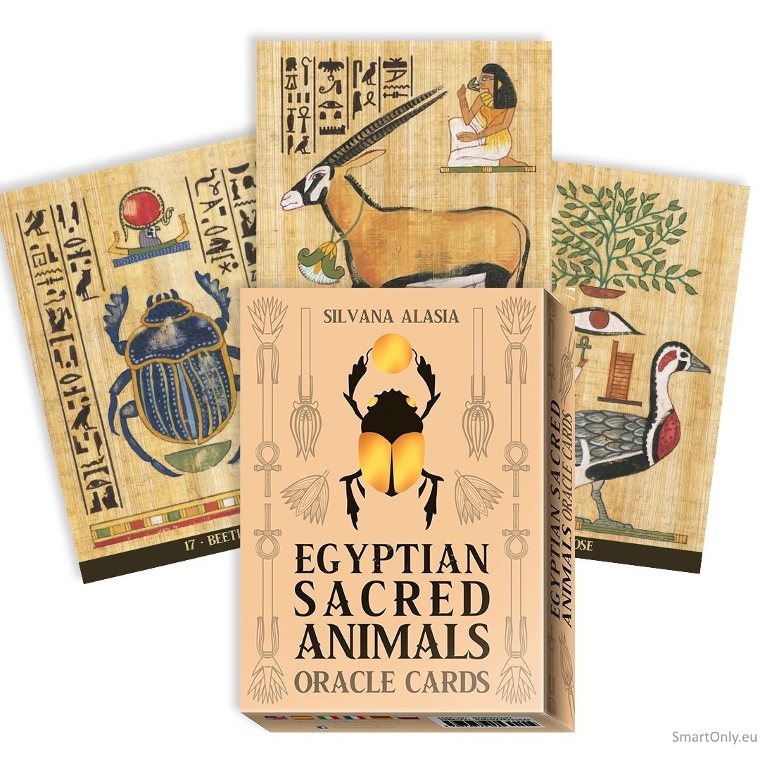 Egyptian Sacred Animals Oracle kortos Lo Scarabeo Egyptian Sacred Animals Oracle kortos Lo Scarabeo