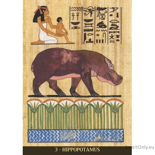 Egyptian Sacred Animals Oracle kortos Lo Scarabeo 5 Egyptian Sacred Animals Oracle kortos Lo Scarabeo 5