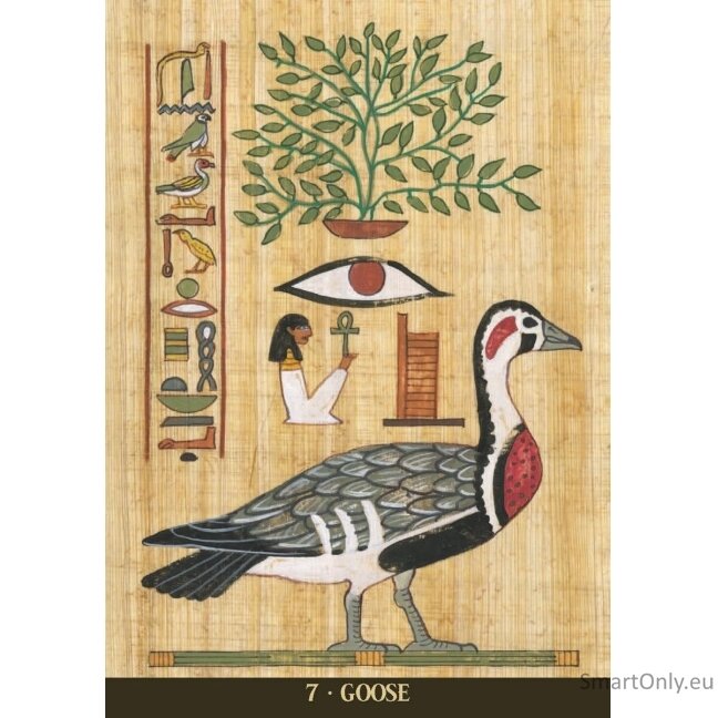 Egyptian Sacred Animals Oracle kortos Lo Scarabeo 4 Egyptian Sacred Animals Oracle kortos Lo Scarabeo 4