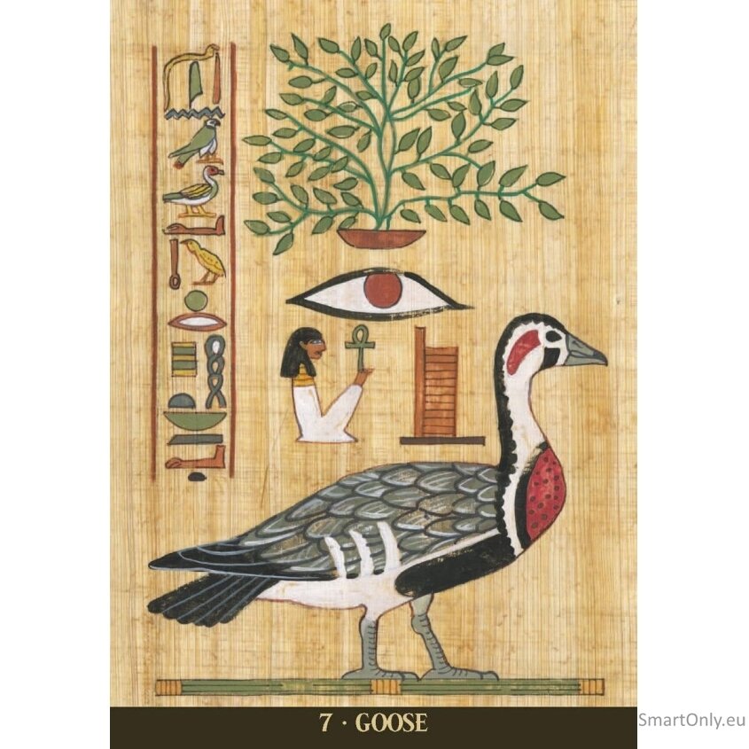 Egyptian Sacred Animals Oracle kortos Lo Scarabeo 4 Egyptian Sacred Animals Oracle kortos Lo Scarabeo 4