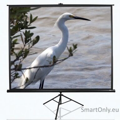 Elite Screens Tripod Series T100UWV1 Diagonal 100 ", 4:3, Viewable screen width (W) 203 cm, Black Elite Screens Tripod Series T100UWV1 Diagonal 100 ", 4:3, Viewable screen width (W) 203 cm, Black