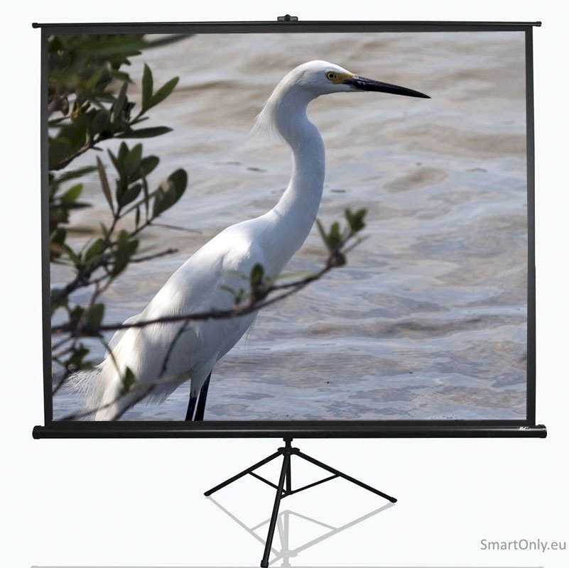 Elite Screens Tripod Series T100UWV1 Diagonal 100 ", 4:3, Viewable screen width (W) 203 cm, Black Elite Screens Tripod Series T100UWV1 Diagonal 100 ", 4:3, Viewable screen width (W) 203 cm, Black