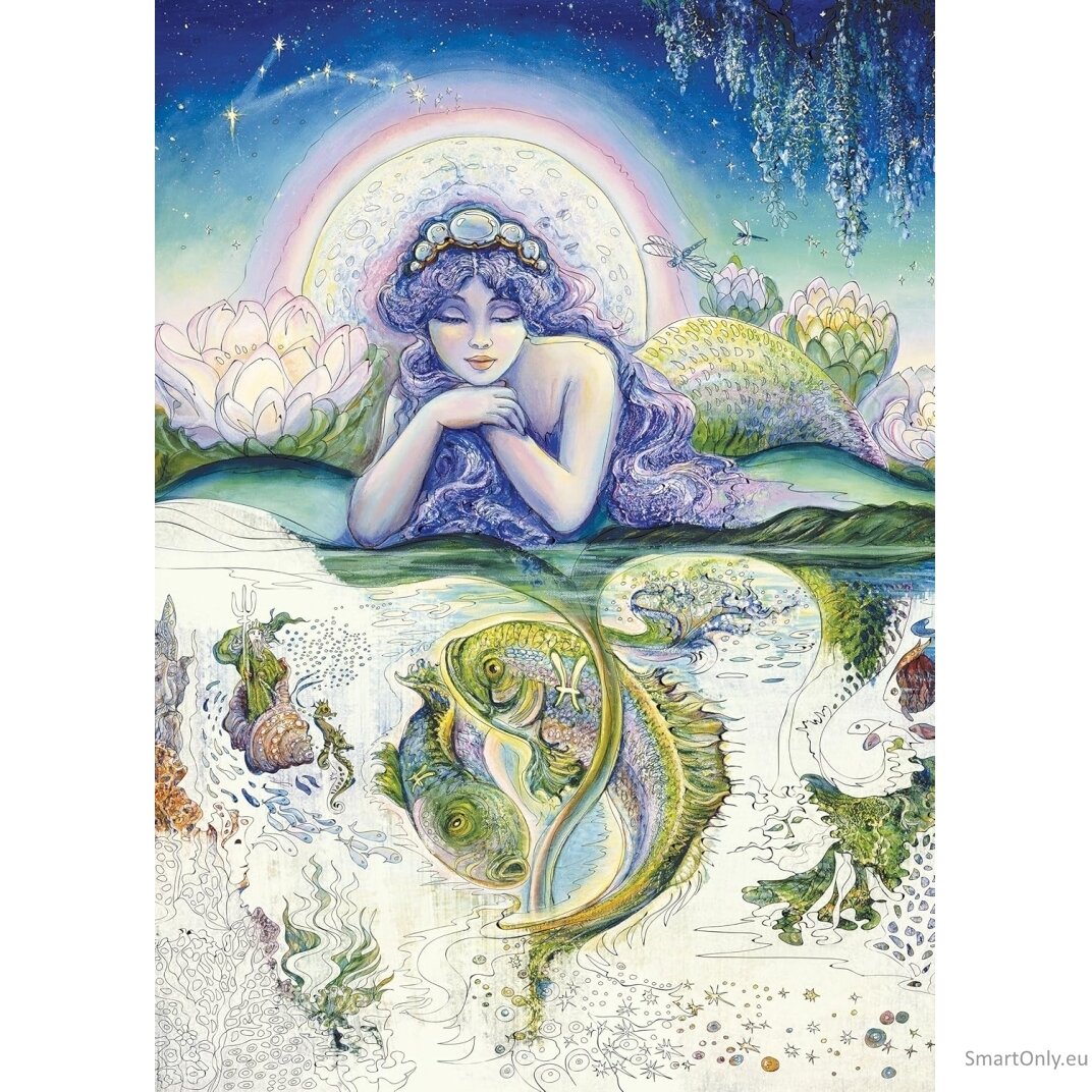 Enchnated Fairies Spalvinimo knyga Blue Angel 3 Enchnated Fairies Spalvinimo knyga Blue Angel 3
