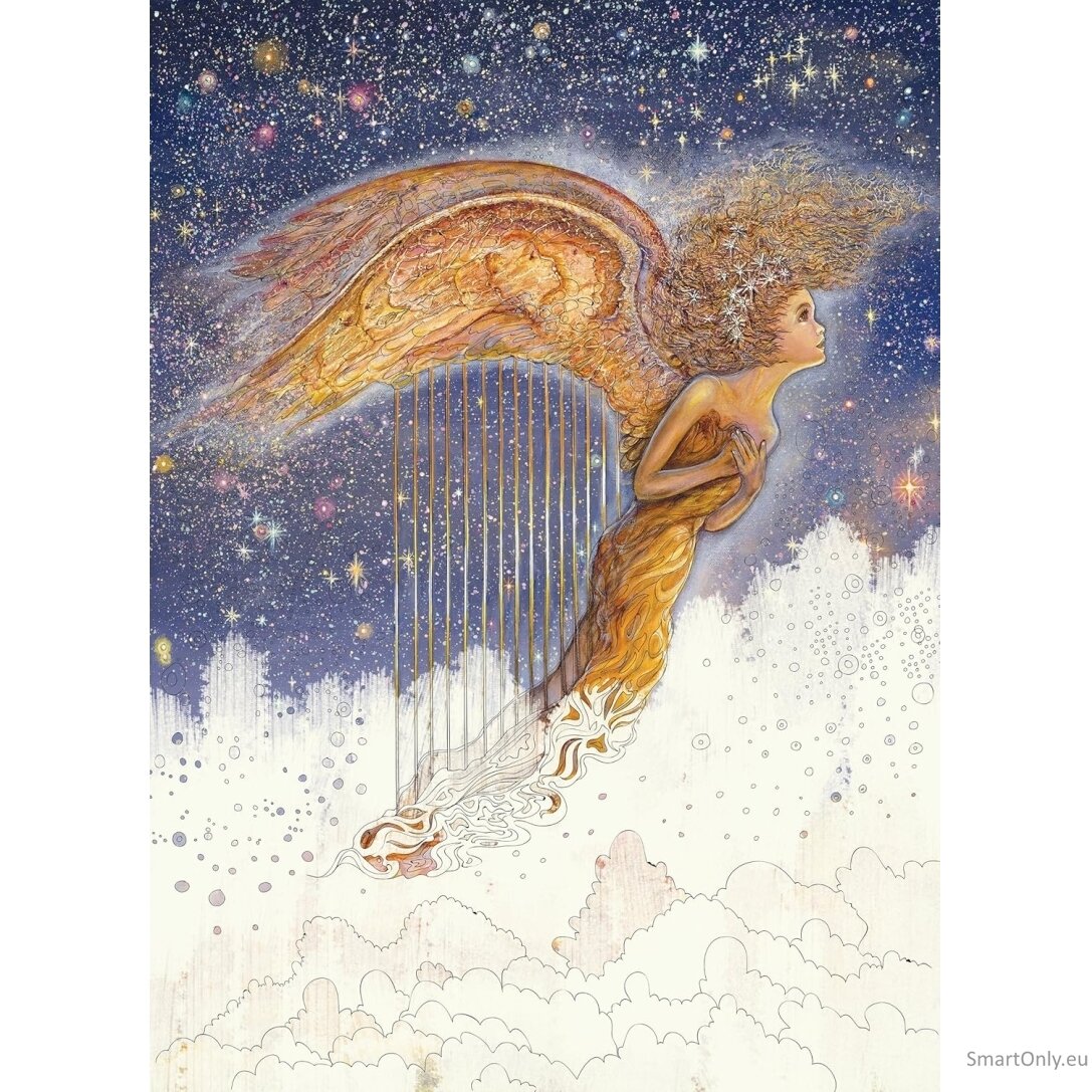Enchnated Fairies Spalvinimo knyga Blue Angel 5 Enchnated Fairies Spalvinimo knyga Blue Angel 5