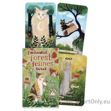 enchanted-forest-felines-tarot-kortos-llewellyn