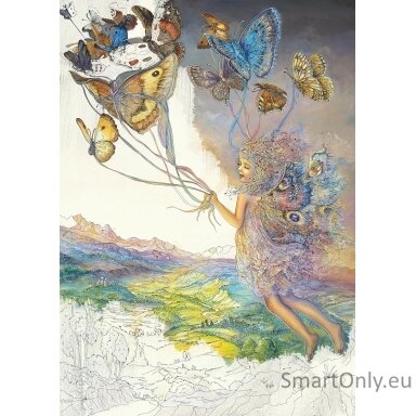 Enchnated Fairies Spalvinimo knyga Blue Angel