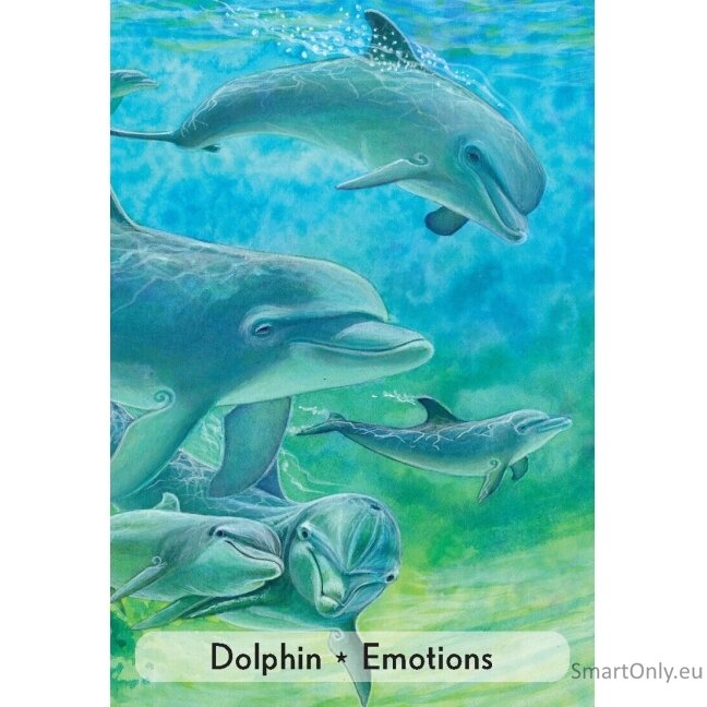 Enchanted Animal Oracle kortos Animal Dreaming 5 Enchanted Animal Oracle kortos Animal Dreaming 5