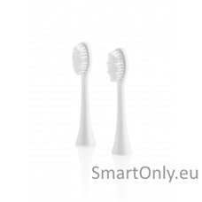 eta-toothbrush-replacement-flexiclean-eta070790100-heads-for-adults-number-of-brush-heads-included-2-white