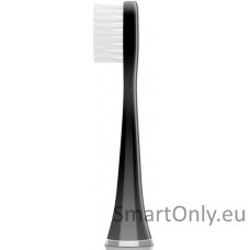 eta-toothbrush-replacement-regularclean-eta070790500-heads-for-adults-number-of-brush-heads-included-2-black