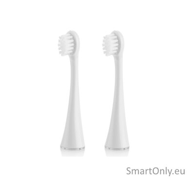 eta-replacement-heads-eta070690100-for-kids-number-of-brush-heads-included-2-white-2