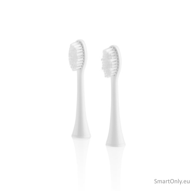 ETA Toothbrush replacement FlexiClean ETA070790100 Heads, For adults, Number of brush heads included 2, White ETA Toothbrush replacement FlexiClean ETA070790100 Heads, For adults, Number of brush heads included 2, White
