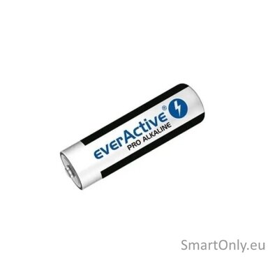 everactive-aa-lr6-pro-sarmines-baterijos-10-vnt-1