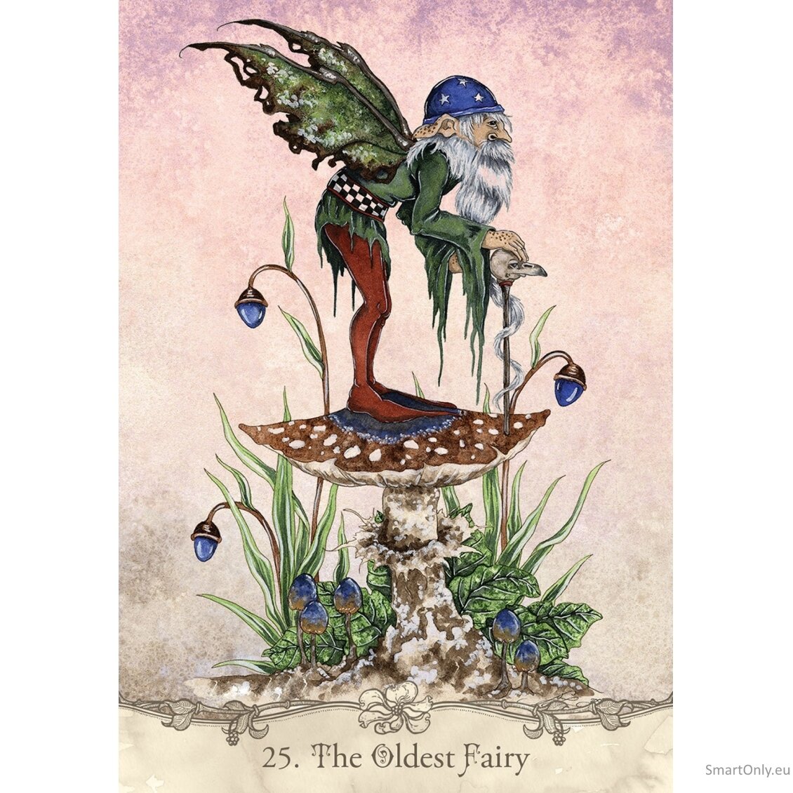 Fairy Wisdom Oracle kortos ir knyga US Games Systems 6 Fairy Wisdom Oracle kortos ir knyga US Games Systems 6