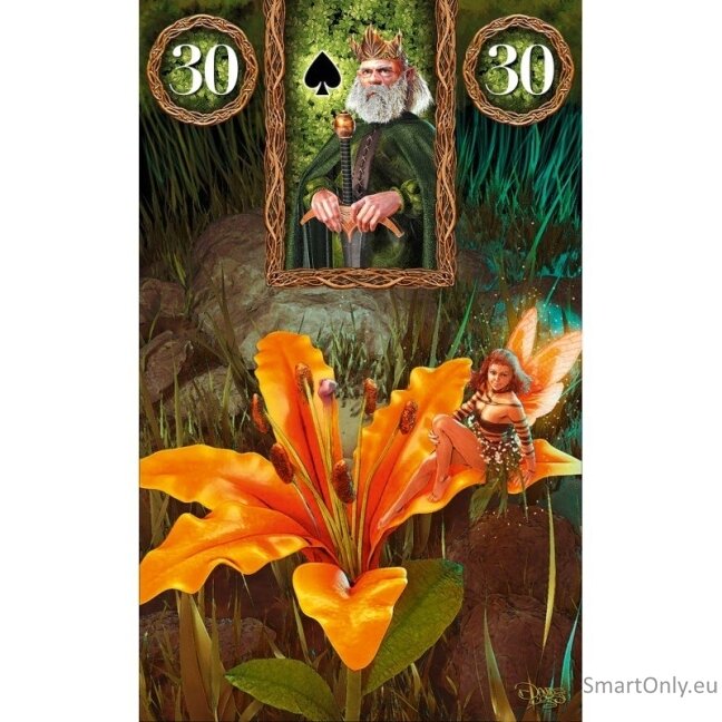 Fairy Lenormand Oracle Kortos Lo Scarabeo 2 Fairy Lenormand Oracle Kortos Lo Scarabeo 2
