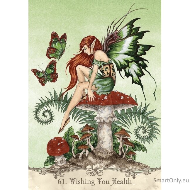 Fairy Wisdom Oracle kortos ir knyga US Games Systems 11 Fairy Wisdom Oracle kortos ir knyga US Games Systems 11